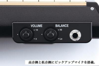 Suzuki PRO-24B Hammond Bass Melodion for sale online | eBay