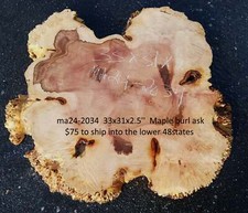 Maple Burl Slab Craft Wood DIY Cookie Cut Ma24-2034