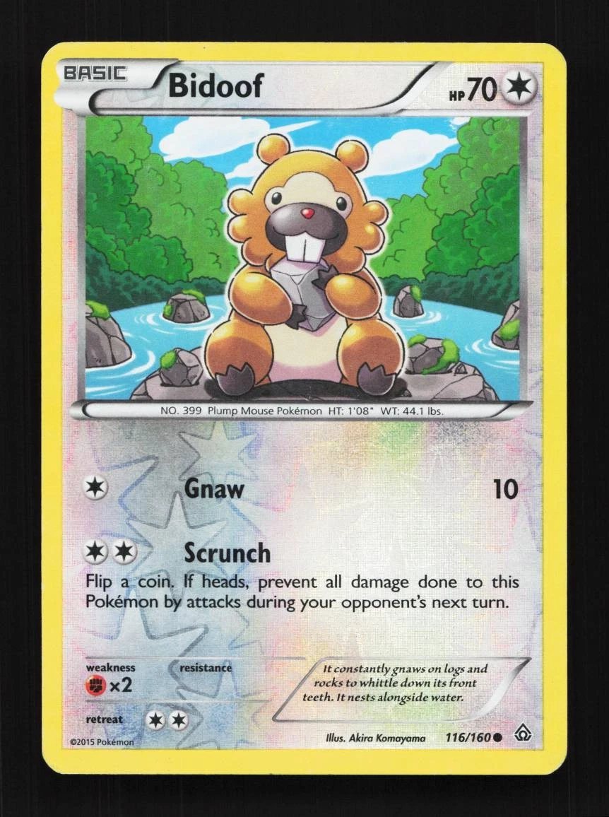 Bidoof 116/160 LP Primal Clash English Pokemon Card TCG