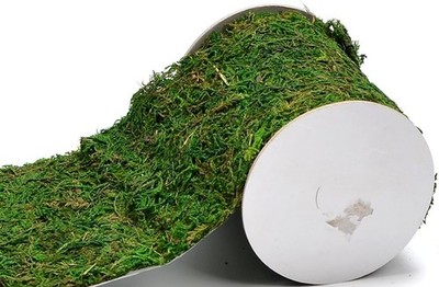 Green Moss Roll 4'' x 48'' for Fairy Gardens & Crafts