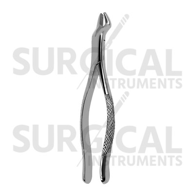 Forniture Dentali PINZA DA ESTRAZIONE N. 7 (PREMOLARI - Foto 11