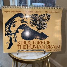 Structure of the Human Brain: A - Spiral-bound, by DeArmond Stephen J.; - Good