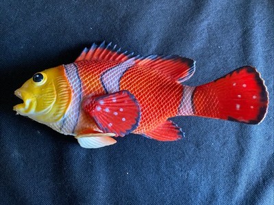 Nemo Fisch Kunststoff Badespielzeug 21 cm lang