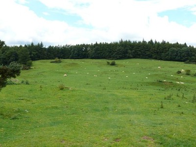 Foto A2 Low Kirkland, Kirkcudbright Blick entlang dieses Pfades auf OS Mapping c2010