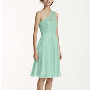 david's bridal mint green dress