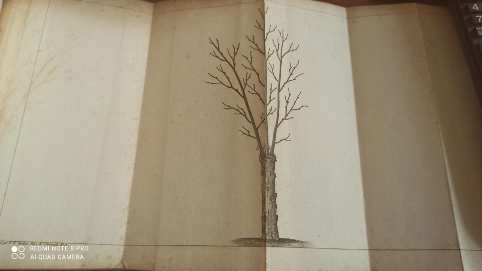 Traité de la Culture des Arbres Fruitiers W. Forsyth - 1803 - Arboriculture - Photo 4/4