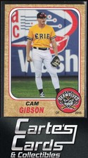 Cam Gibson 2018 Grandstand Erie SeaWolves #NNO Erie SeaWolves