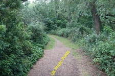 Photo 6x4 Blackwater Valley Path Frimley 6 c2015