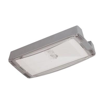 Ceag Notlichtsysteme Sicherheitsleuchte LED R CG-S LED Lampe Leuchte