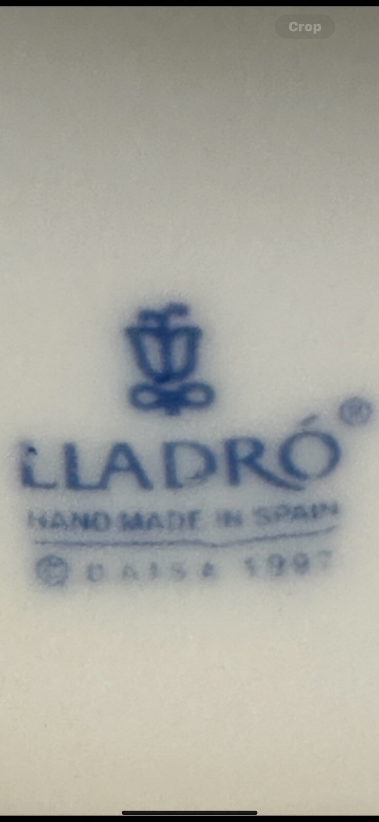 Foto 11 di 12