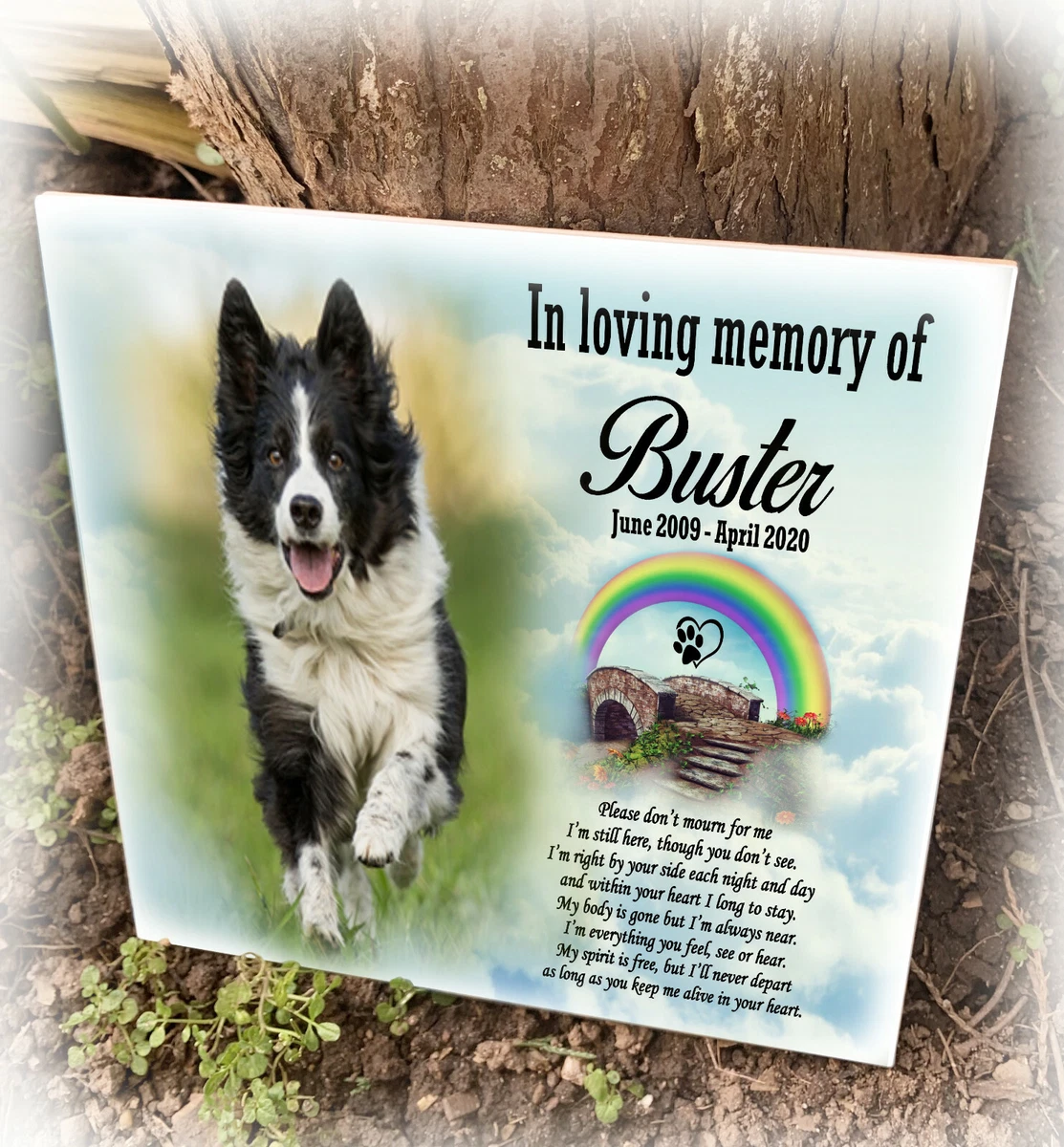 Tile for store your dog