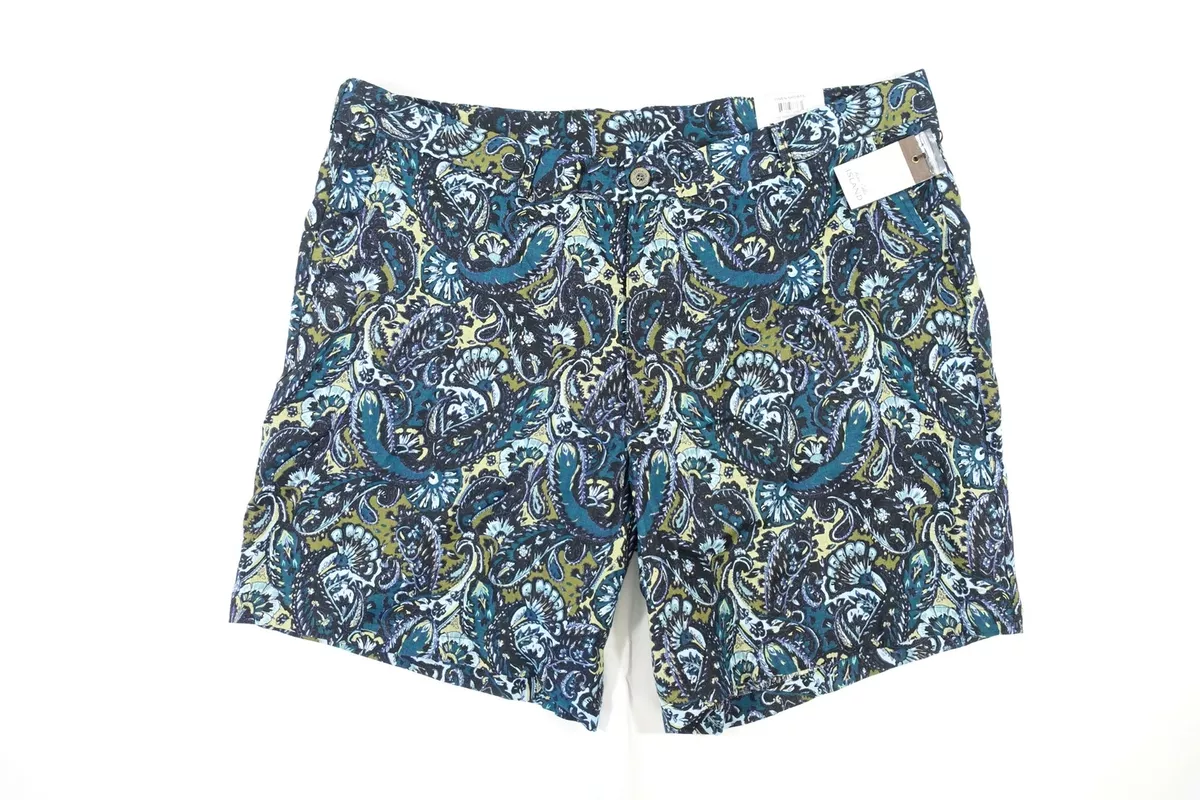 TASSO ELBA ISLAND PAISLEY FLORAL BLUE GREEN 42 9