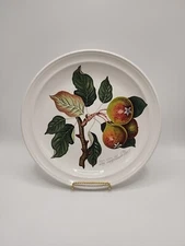 Portmeiron "Pomona" 10 1/2 Inch Dinner Plate-Squash Pear - Mint Condition