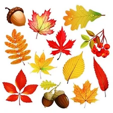  12 Pcs Fall Maple Leaves Magnets Autumn Refrigerator Car Magnets Stickers 
