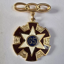 Vtg Antique 1948 IOOF 65 Year Service Recognition Star Gold Tone Pin Odd Fellows