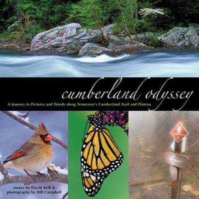 Cumberland Odyssey: A Journey in Pictures and Words along Tennessees Cu - GOOD