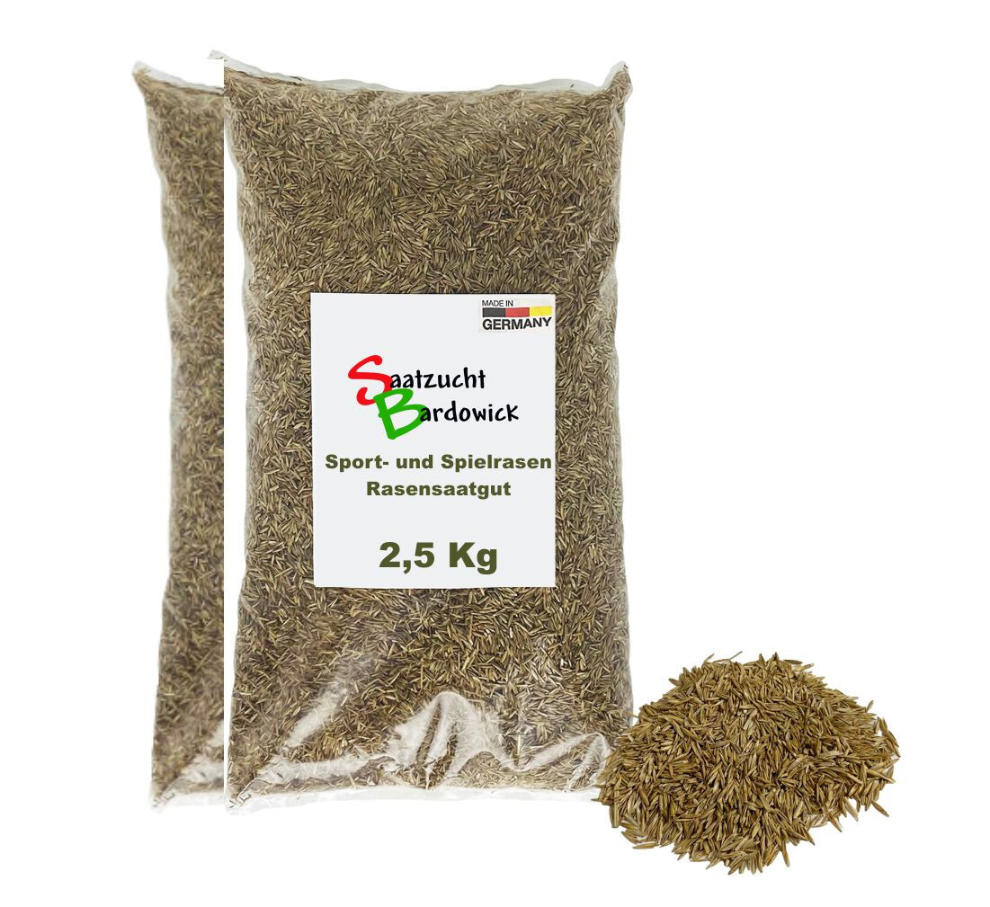 kaukasus vergissmeinnicht 'variegata' Jetzt Kaukasus-Vergissmeinnicht 'Variegata' online kaufen bei Bohlken  Pflanzenversand – Bohlken Pflanzenversand GbR main image 0