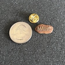 Maine Potato Small Plastic Souvenir Pin Pinback #44543