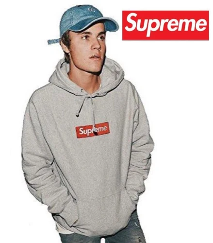 Difficile à trouver épuisé Supreme Box Logo Capuche Gris