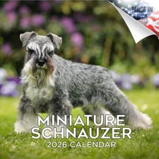 Miniature Schnauzer Calendar 2026 FULL SIZE 12x24 Made in USA