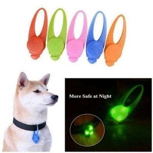 dog collar flashlight