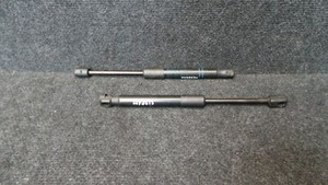 2L38A31 * BMW 1 3 er F20 F30 7239233 Gasdruckdämpfer Motorhaube Gasfeder Set