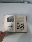Foto 15 di 24