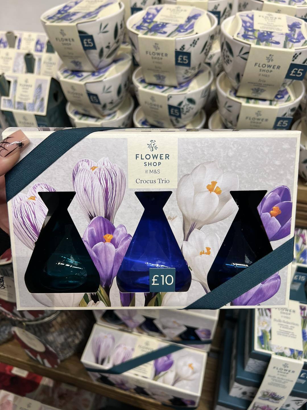 M&S Easy to Grow Bulb Selection Flower Kit eBay