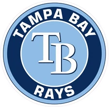 (NOT A PATCH) Tampa Bay Rays HTV Heat Press Transfer Vinyl Iron On