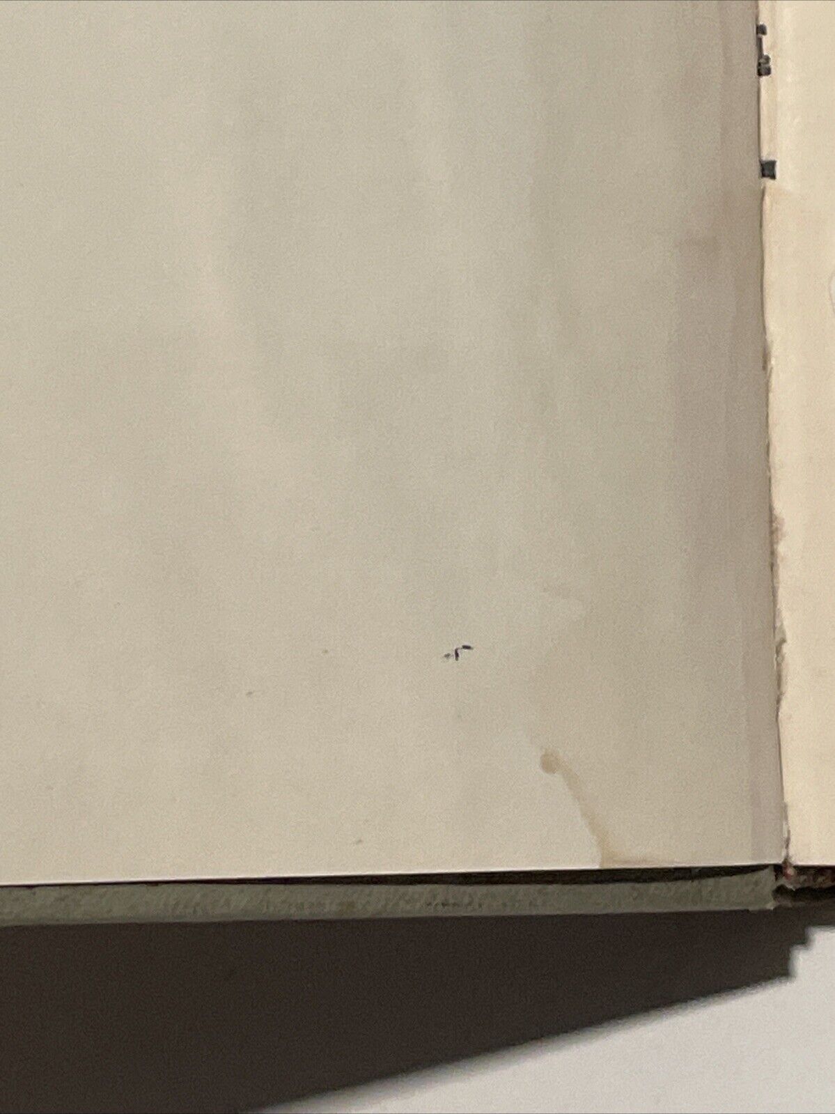Picture 9 of 12
