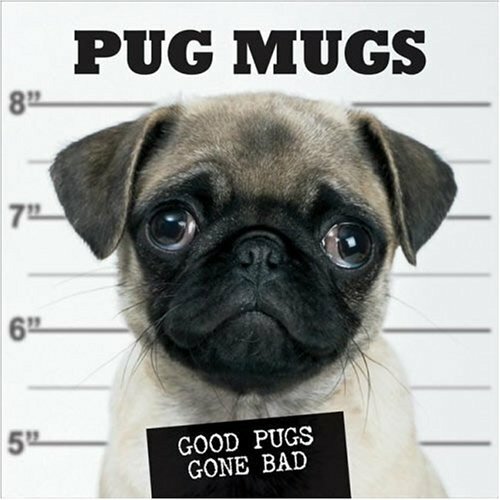 Pug Mugs,WCP Editors - Bild 1 von 1