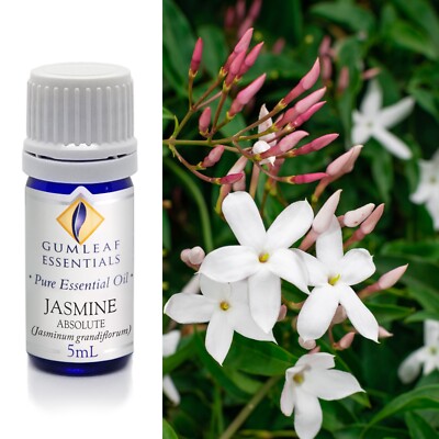 Gumleaf Essentials - Jasmine Absolute - Essential Oil - 5 mL