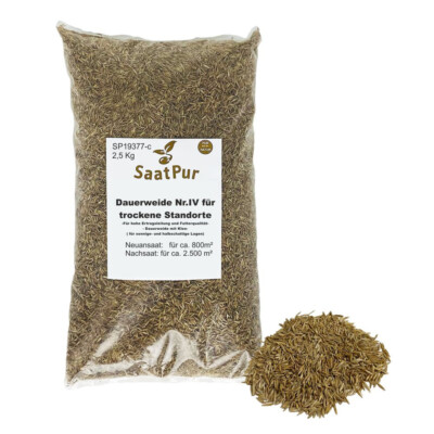 2,5 kg Dauerweide für trocke Standorte Grassaat Grass Pferdeweide Nachsaat