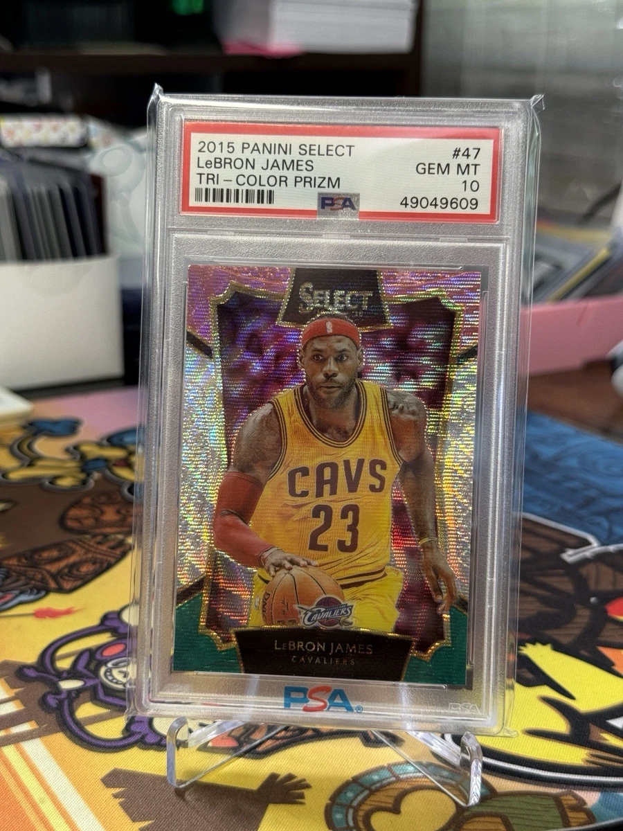 Panini LeBron James 10 Graded Basketball Sports Trading Cards