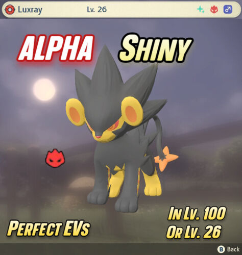 LUXRAY ALPHA SHINY STARTER  Pokemon Legends : Arceus | EV Trained - Photo 1/5