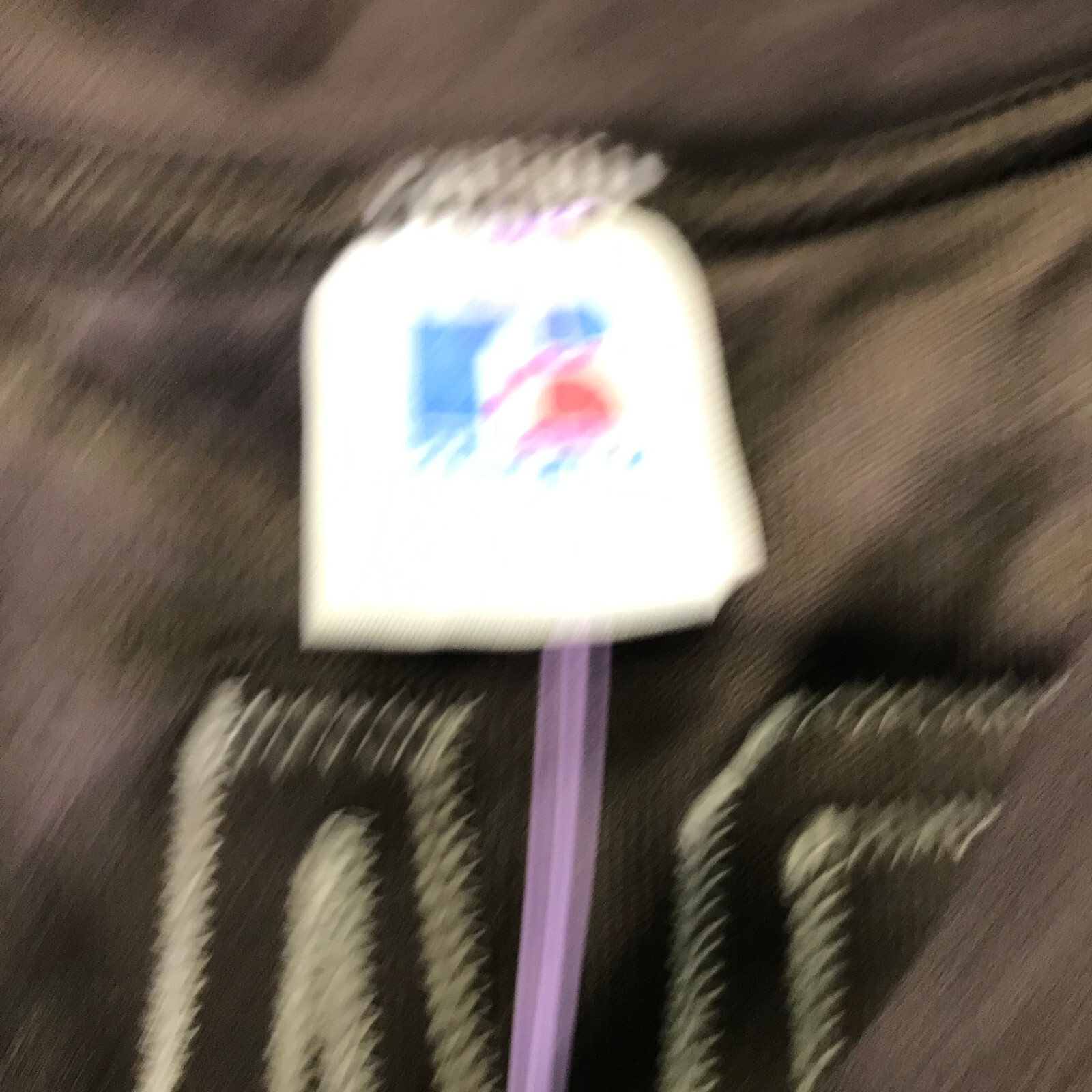 Picture 9 of 19