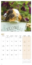 2025 Guinea Pigs Mini calendar: Plastic Free Packaging Calendar Book The Fast