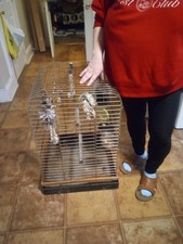 Bird Cage with Accessories 30 In Height and 21 Inches Wide