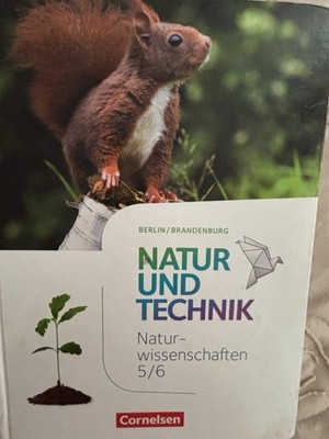 Natur und Technik 5./6. Schuljahr: Naturwissenschaften - Arbeitsheft - 5. Schulj