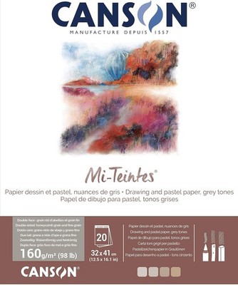 CANSON Zeichenpapier Mi-Teintes im Block 320 x 410 mm 20 Blatt Grautönen