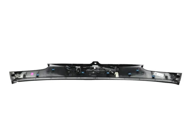 Genuine Mopar License Lamp Applique 6TS46JSCAA