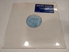 David David "If You Really Care / Sunshine Love" SOMEX 12" Single 45 RPM *SEALED