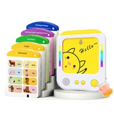 Kids English Flashcards - Vocabulary Learning Toy w/224 Words