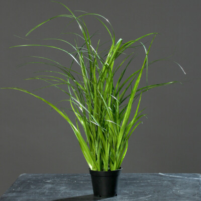 Chinaschilf Kunstgras 45cm im schwarzen Topf Kunstpflanze künstliches Gras