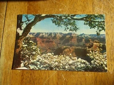 Grand Canyon National Park Unposted Postcard Crisp Corners in a Sleeve