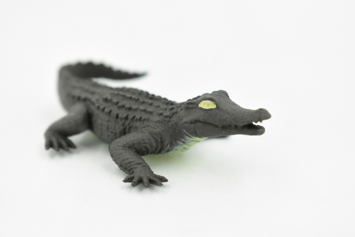 Naef　Alligator　プルトイ Naef Alligator プルトイ Crocodile Alligator Nile Crocodile