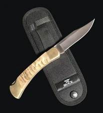 Custom Buck 110 Folding Hunter Knife Ram Horn Handle Scales 2025