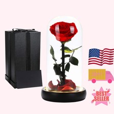 Beauty and the Beast Rose Preserved Flower in Glass Dome with Lights
