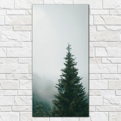 Glasbilder Wandbild Nebel in den Bäumen Wald nebliger Himmel Berge 50x100
