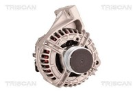 Triscan Trag-/FüHrungsgelenk 8500 42512